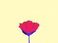 eclosion_2
